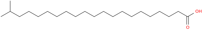 Heneicosanoic acid, 20 methyl 